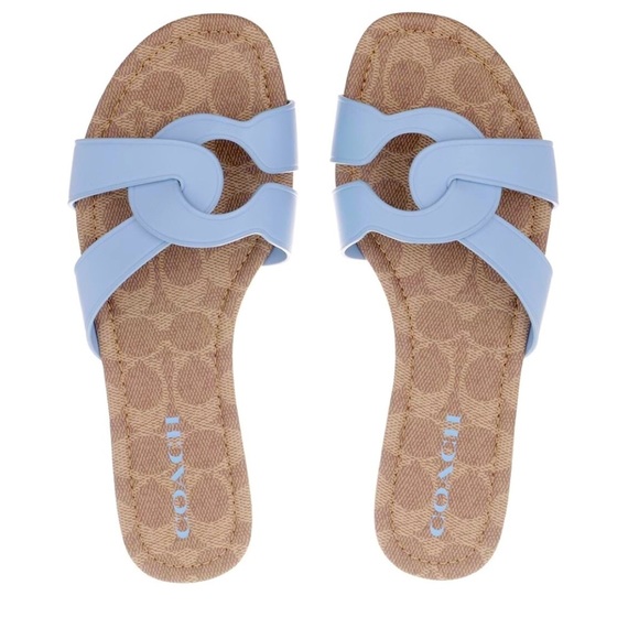 Coach Shoes Coach Essie Periwinkle Mule Sandals Poshmark